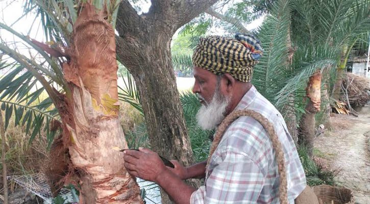 কমেছে গাছ ও গাছি, বেড়েছে খেজুর রসের চাহিদা