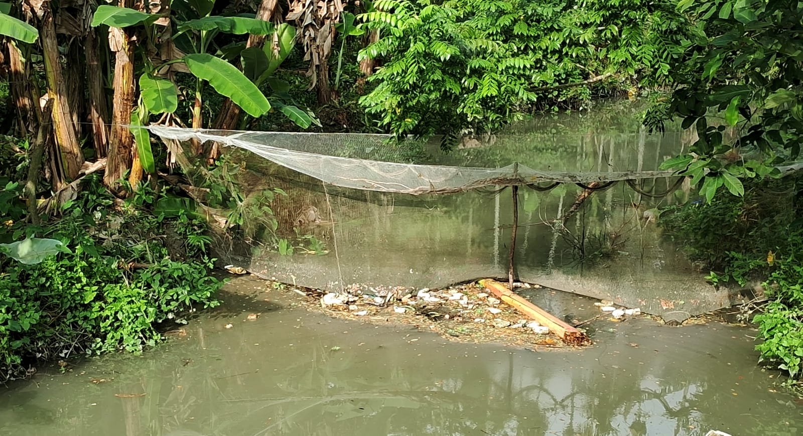 বুচনা জালের প্রভাবে মাছ শূন্য শরনখোলা