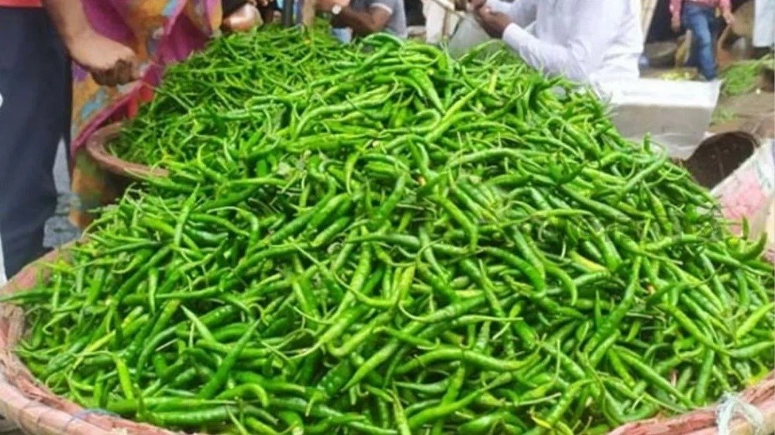 ৮০ টাকায় আমদানি করা কাঁচা মরিচের কেজি বাজারে ৩০০